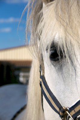 Hello you_4700598825_l.jpg